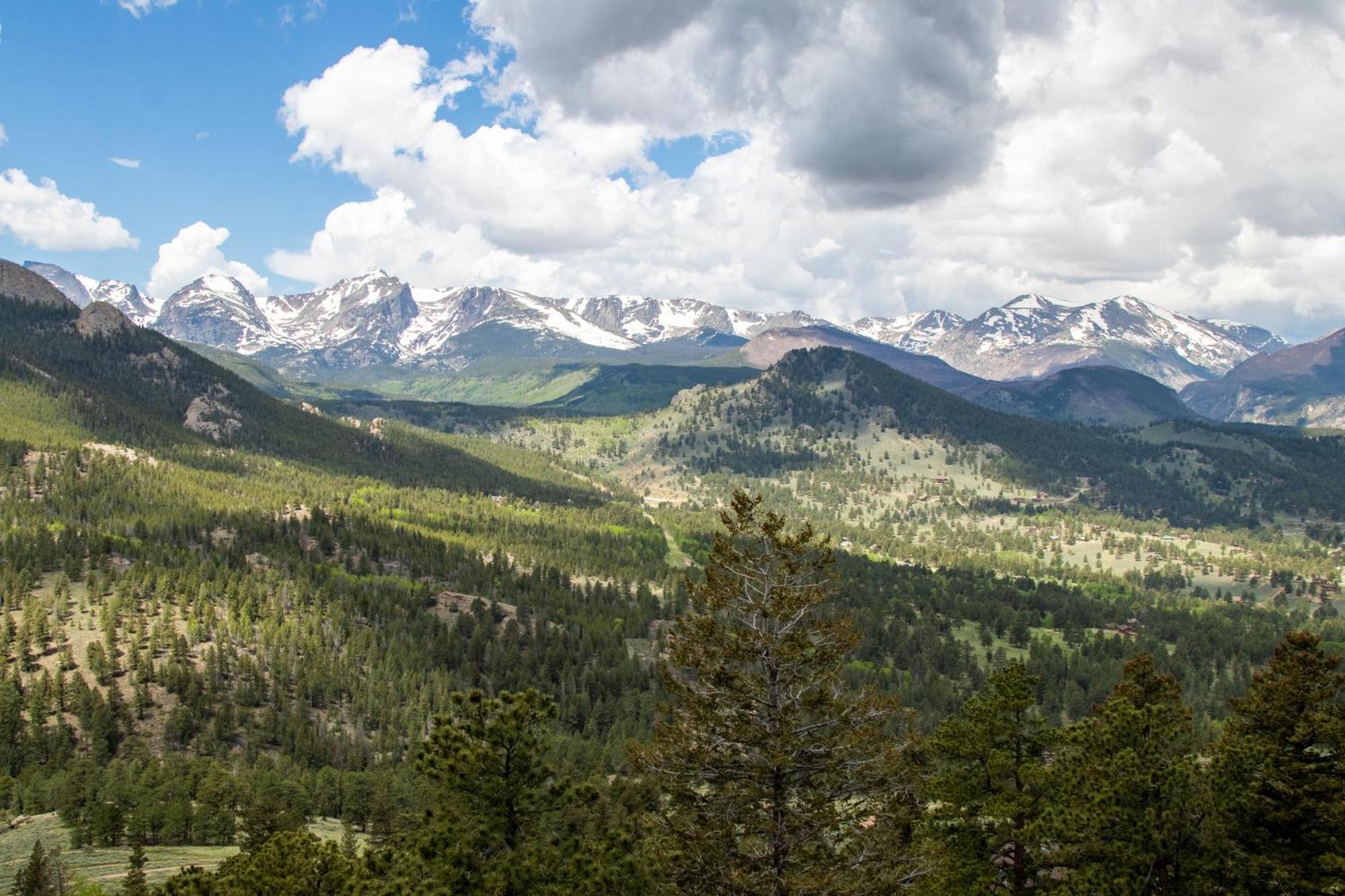 Casa De Cristal-Epic Views-Hottub-Sauna-Sleeps 10-Luxury Linens-Stocked Kitchen Estes Park Exterior foto